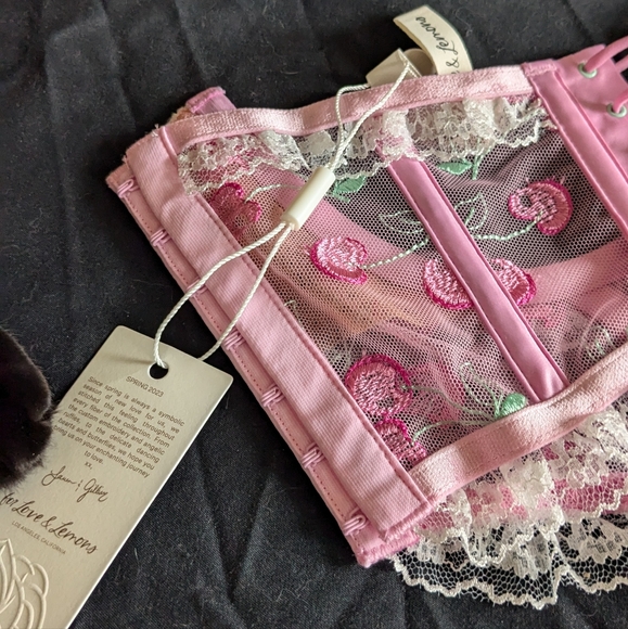 For Love And Lemons Underwire Bustier - Picture 6 of 6